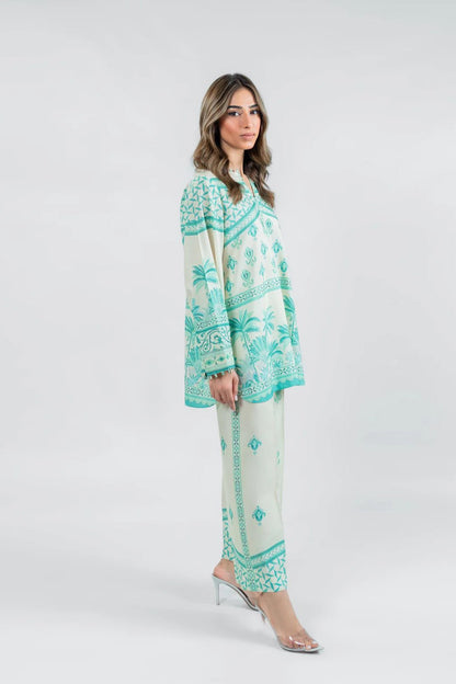 Sola Co-ord Set- Premium Fabric 2 Pc - 170001