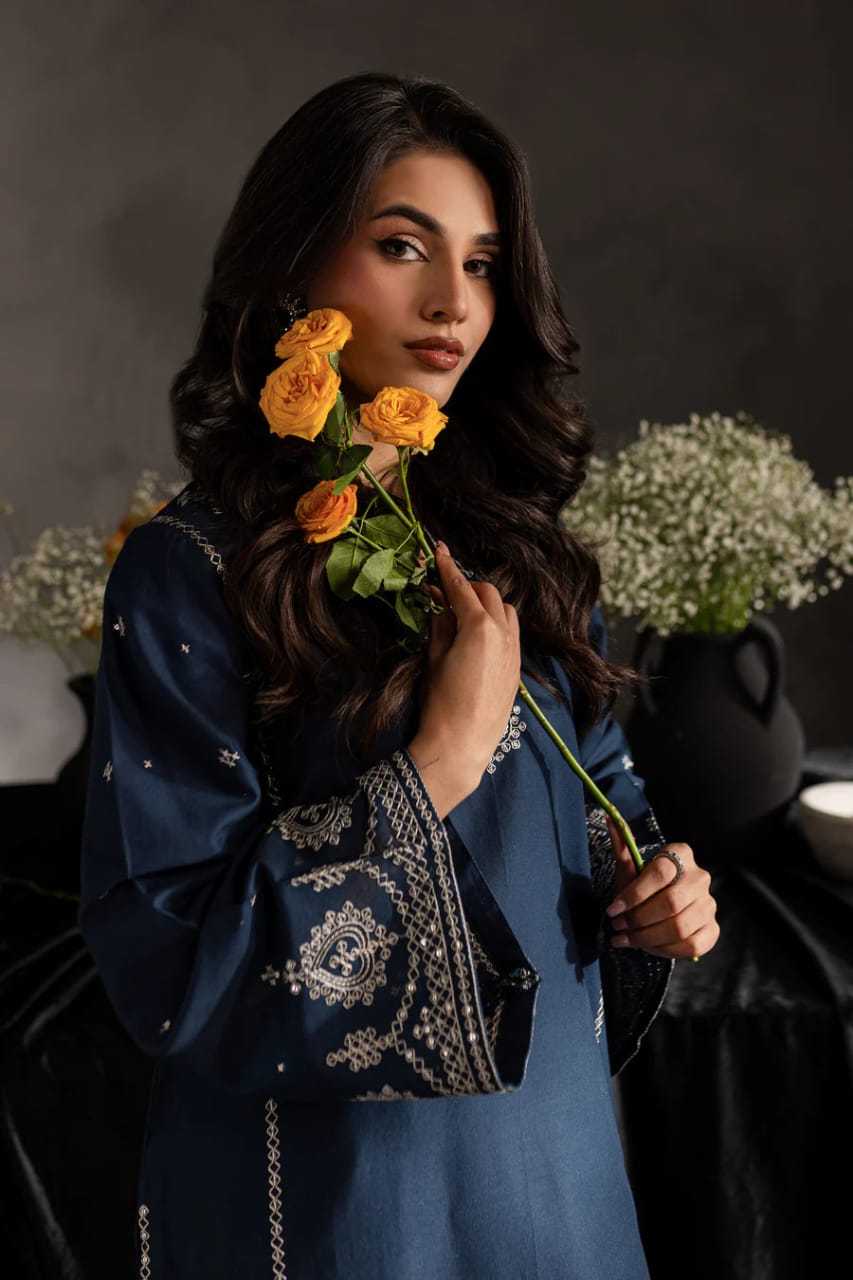 Sage Blue Embroided 2Pcs