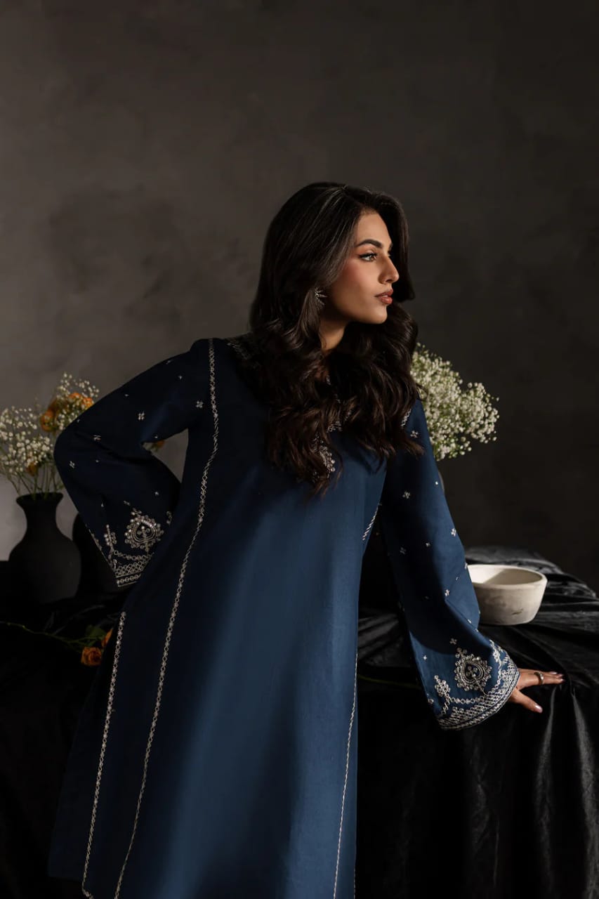 Sage Blue Embroided 2Pcs